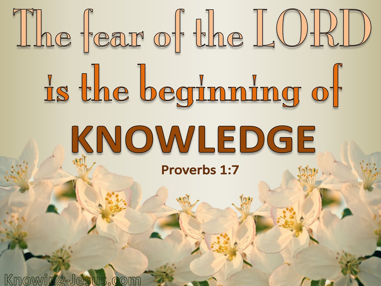 proverbs-4-7-wisdom-is-the-principal-thing-therefore-get-wisdom-and